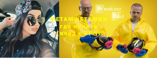 сатива Белокуриха
