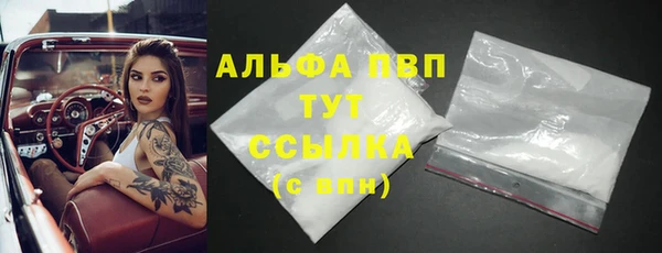 сатива Белокуриха