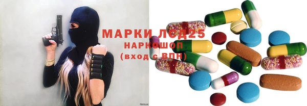 мяу мяу мука Баксан