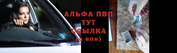 PSILOCYBIN Беломорск