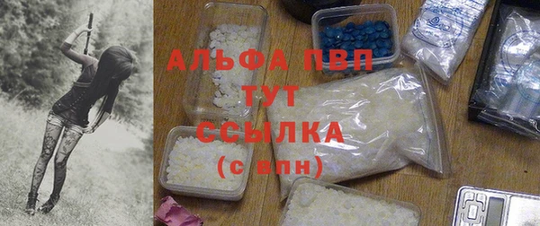 сатива Белокуриха
