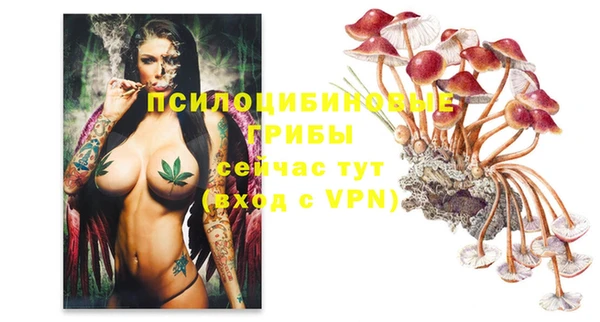 сатива Белокуриха