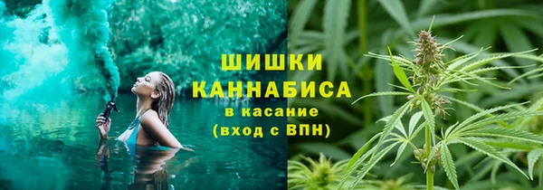 сатива Белокуриха
