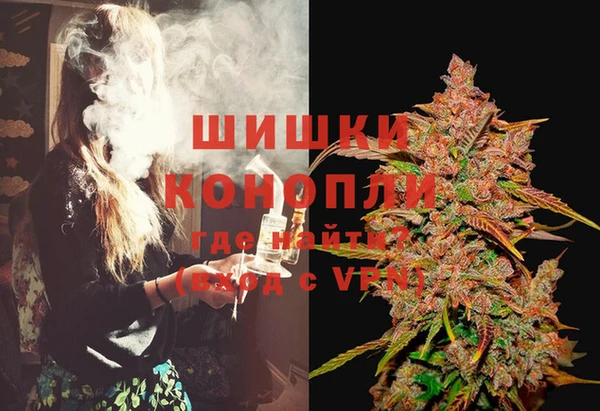 PSILOCYBIN Беломорск
