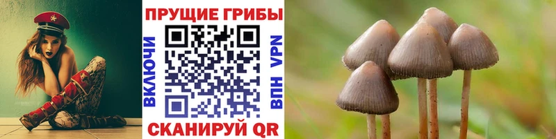 Псилоцибиновые грибы мухоморы даркнет наркотические препараты Приволжский